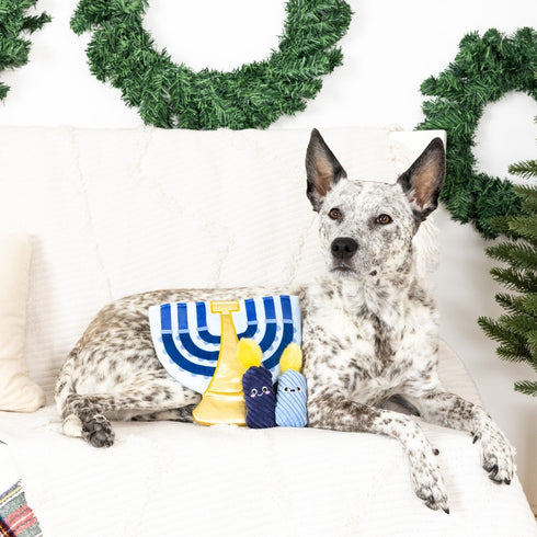 PetShop by Fringe Studio A Little Hanukkah Hide & Seek Plush Dog Toy - Poudre Pet & Feed Supply 3